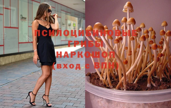 ECSTASY Горно-Алтайск