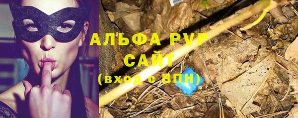 ECSTASY Горно-Алтайск